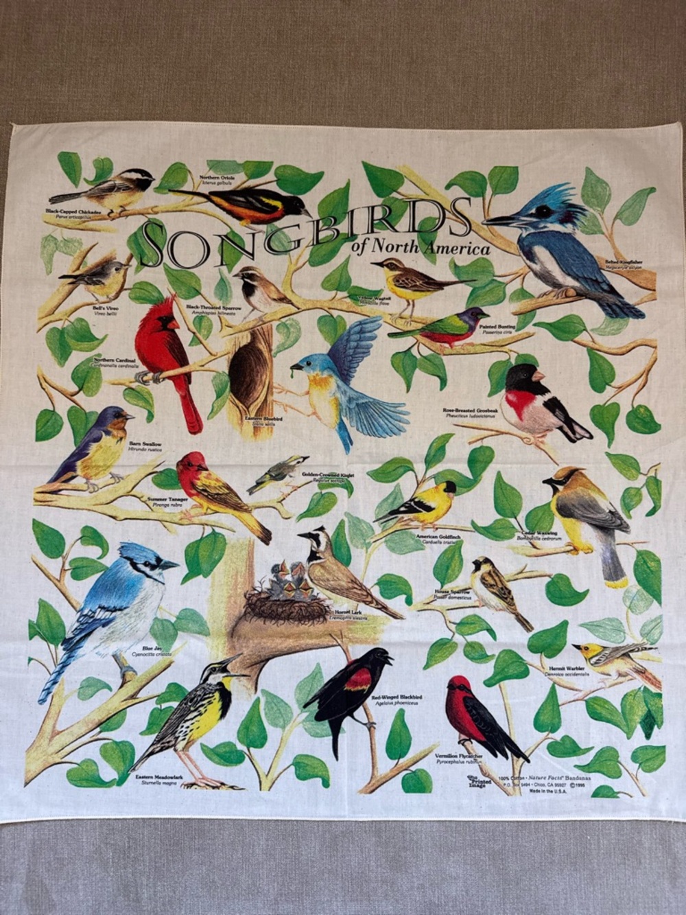 Vintage 1995 Songbirds Bandana Bird Print Nature Scarf